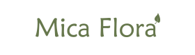 Mica Flora